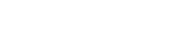 Logwise logo